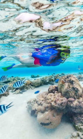 Snorkeling – Pulau Tunda